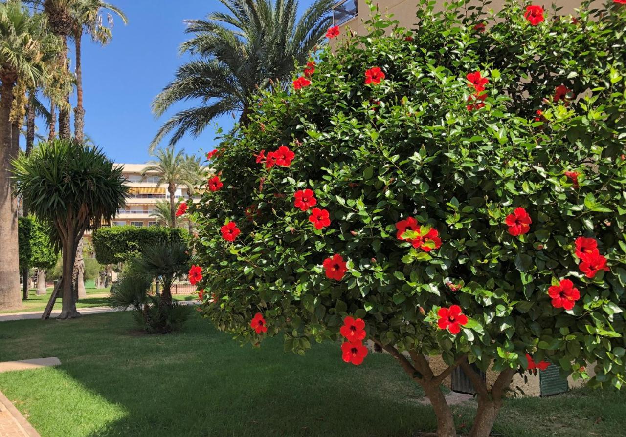 Sweet Home EL PALMERAL Los Locos beach Torrevieja Exterior foto